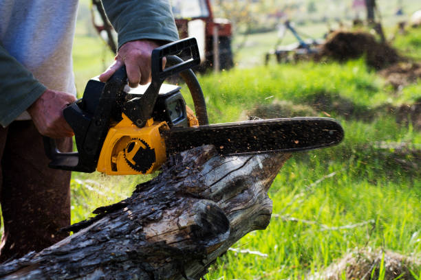 Best Tree Preservation Services  in USA